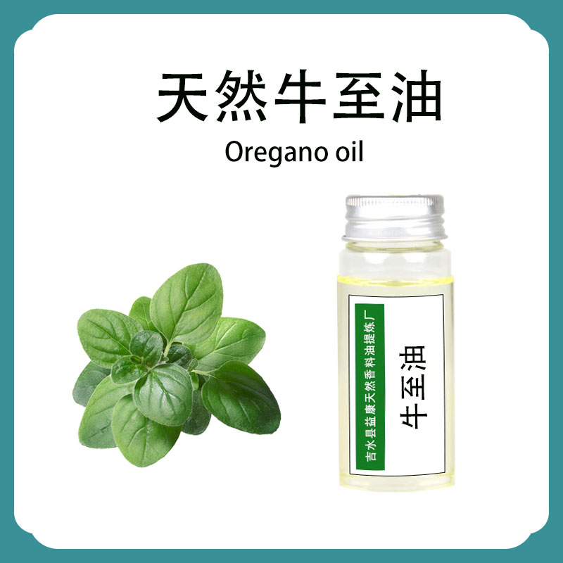 天然牛至油