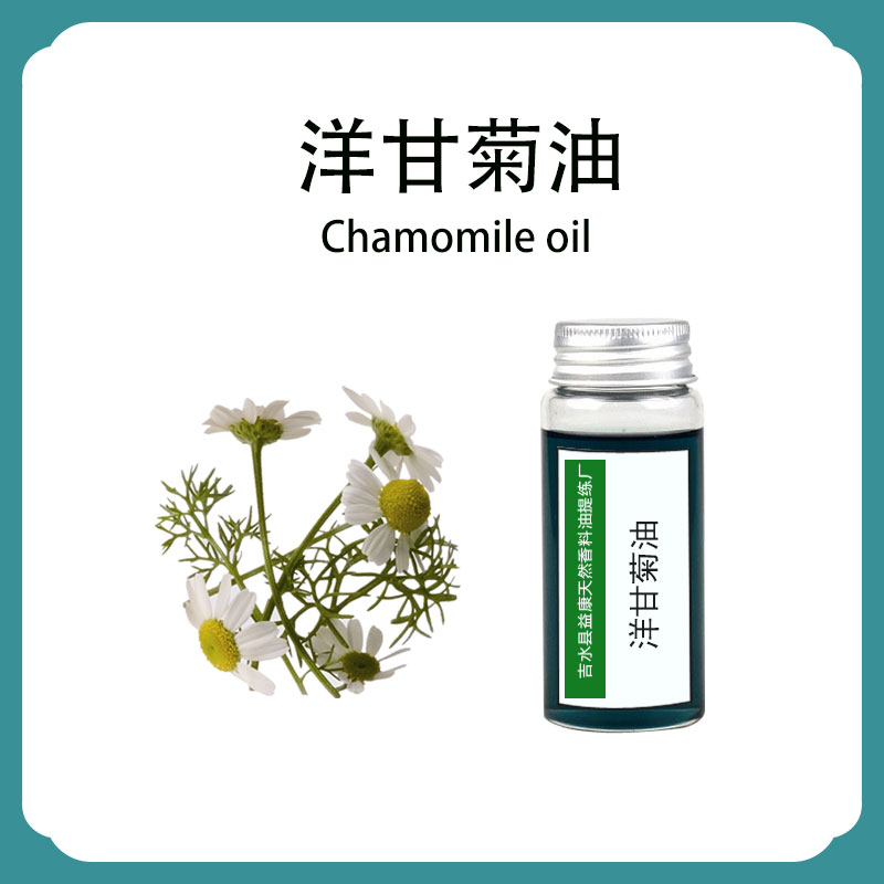 罗马洋甘菊油